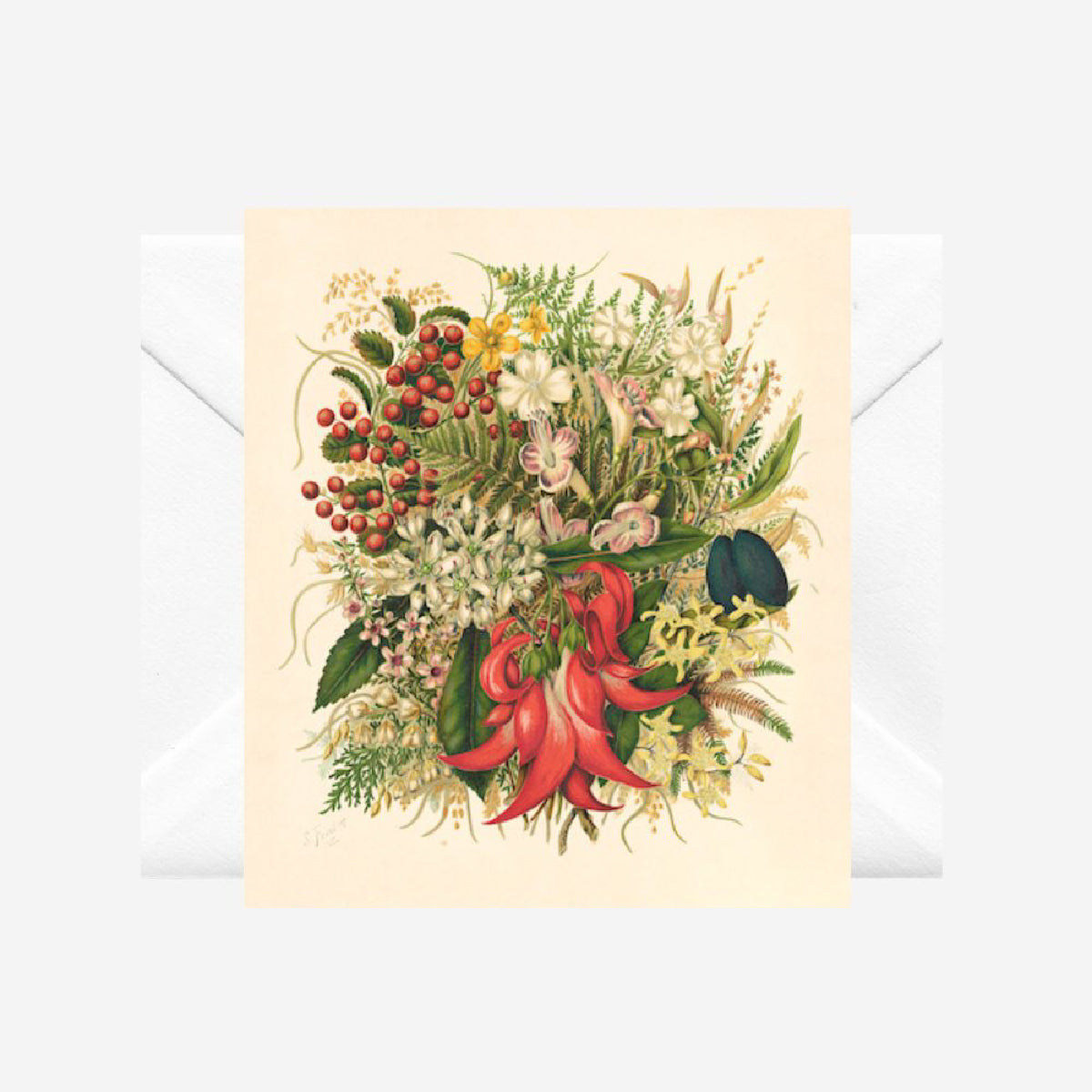 Te Papa Museum Collection Gift Card - Sarah Featon 'Wild flowers and berries'